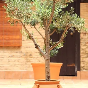 Corral De Triana Appartement